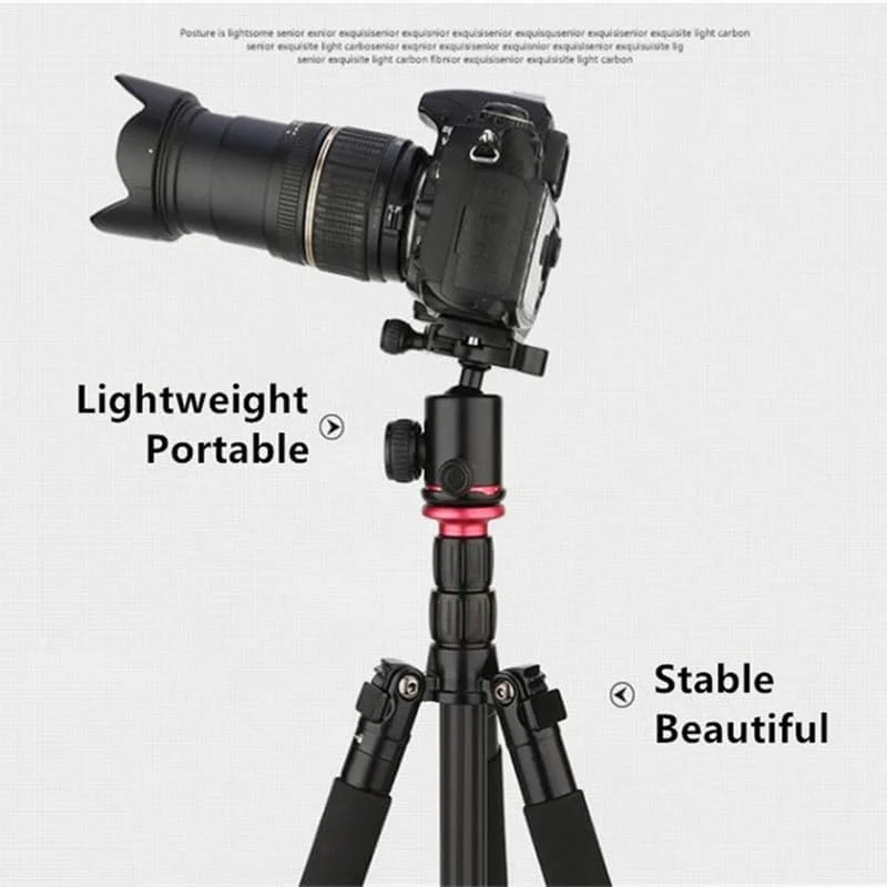 AECAM - سه پایه فیبر کربنی حرفه ای برای دوربین های دیجیتال، سه پایه قابل حمل مناسب برای مسافرت، سری با کیفیت، پایه دوربین 153 سانتی متر
