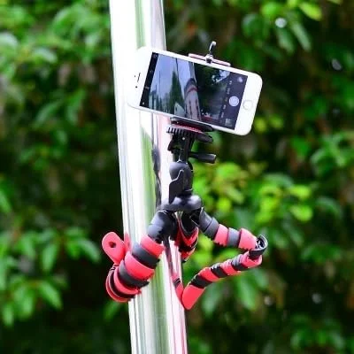 AECAM - سه پایه مینی اختاپوسی، نگهدارنده انعطاف پذیر قابل حمل برای دوربین های GOPRO، تلفن همراه، سه پایه، سر توپی تاشو، پایه رومیزی (M (قرمز)) AECAM - سه پایه مینی اختاپوسی، نگهدارنده انعطاف پذیر قابل حمل برای دوربین های GOPRO، تلفن همراه، سه پایه، سر توپی تاشو، پایه رومیزی (M (قرمز))