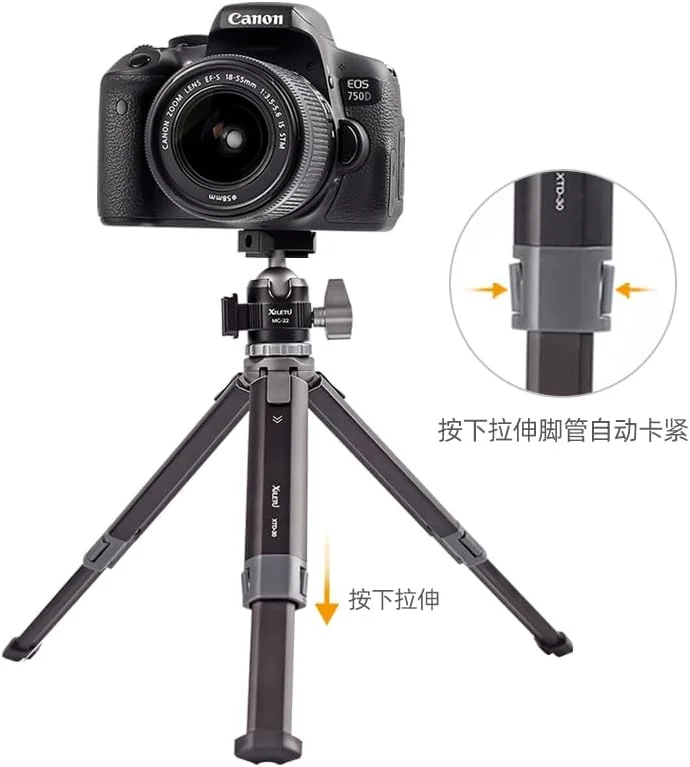 AECAM - سر توپی کوچک کفشک سرد با قابلیت استفاده دوگانه، آلیاژ آلومینیوم کفشک سرد با پیچ 1/4 اینچ برای دوربین، تلفن، فلاش اسپیدلایت، سه پایه، مونوپاد (BS2) AECAM - سر توپی کوچک کفشک سرد با قابلیت استفاده دوگانه، آلیاژ آلومینیوم کفشک سرد با پیچ 1/4 اینچ برای دوربین، تلفن، فلاش اسپیدلایت، سه پایه، مونوپاد (BS2)