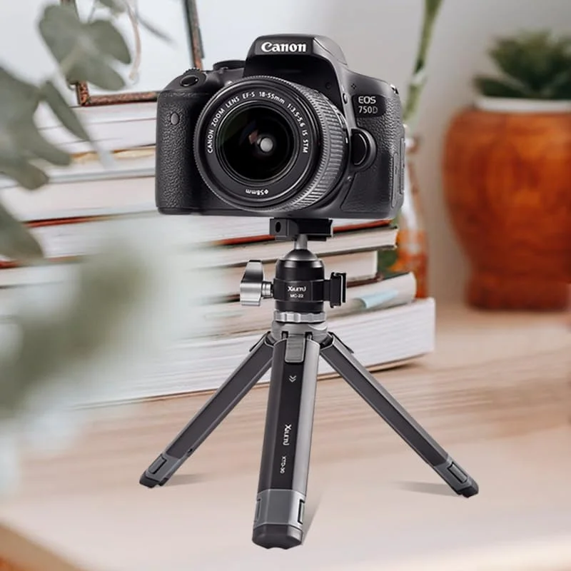 AECAM - سر توپی کوچک کفشک سرد با قابلیت استفاده دوگانه، آلیاژ آلومینیوم کفشک سرد با پیچ 1/4 اینچ برای دوربین، تلفن، فلاش اسپیدلایت، سه پایه، مونوپاد (BS2) AECAM - سر توپی کوچک کفشک سرد با قابلیت استفاده دوگانه، آلیاژ آلومینیوم کفشک سرد با پیچ 1/4 اینچ برای دوربین، تلفن، فلاش اسپیدلایت، سه پایه، مونوپاد (BS2)