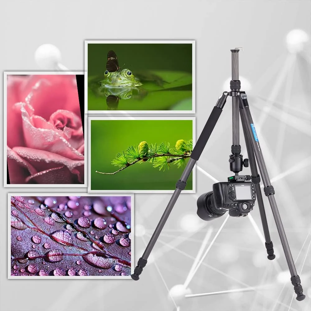 AECAM - سه پایه فیبر کربنی برای دوربین، نگهدارنده موبایل، پایه تلفن هوشمند، سه پایه حرفه ای تلفن همراه، تک پایه های DSLR مدل MAXs 197cm AS35C (سه پایه AS35C) AECAM - سه پایه فیبر کربنی برای دوربین، نگهدارنده موبایل، پایه تلفن هوشمند، سه پایه حرفه ای تلفن همراه، تک پایه های DSLR مدل MAXs 197cm AS35C (سه پایه AS35C)