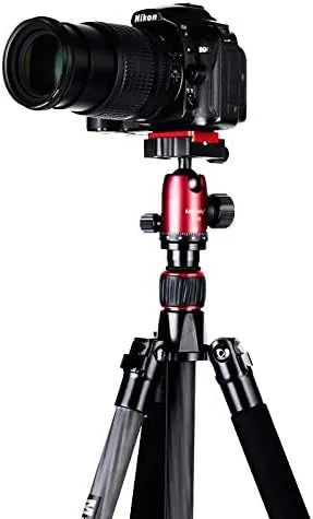 AECAM - سه پایه فیبر کربنی حرفه ای برای دوربین های دیجیتال، مناسب برای سه پایه دوربین سری مسافرتی، حداکثر 155 سانتی متر (طلایی) AECAM - سه پایه فیبر کربنی حرفه ای برای دوربین های دیجیتال، مناسب برای سه پایه دوربین سری مسافرتی، حداکثر 155 سانتی متر (طلایی)