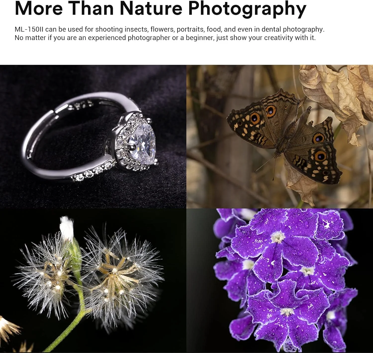 فلاش حلقوی ماکرو Godox ML150II، نور عالی برای عکاسی ماکرو، 4 عدد باتری آلکالاین AA، روشنایی قابل تنظیم، عدد راهنمای بالا GN12 فلاش حلقوی ماکرو Godox ML150II، نور عالی برای عکاسی ماکرو، 4 عدد باتری آلکالاین AA، روشنایی قابل تنظیم، عدد راهنمای بالا GN12