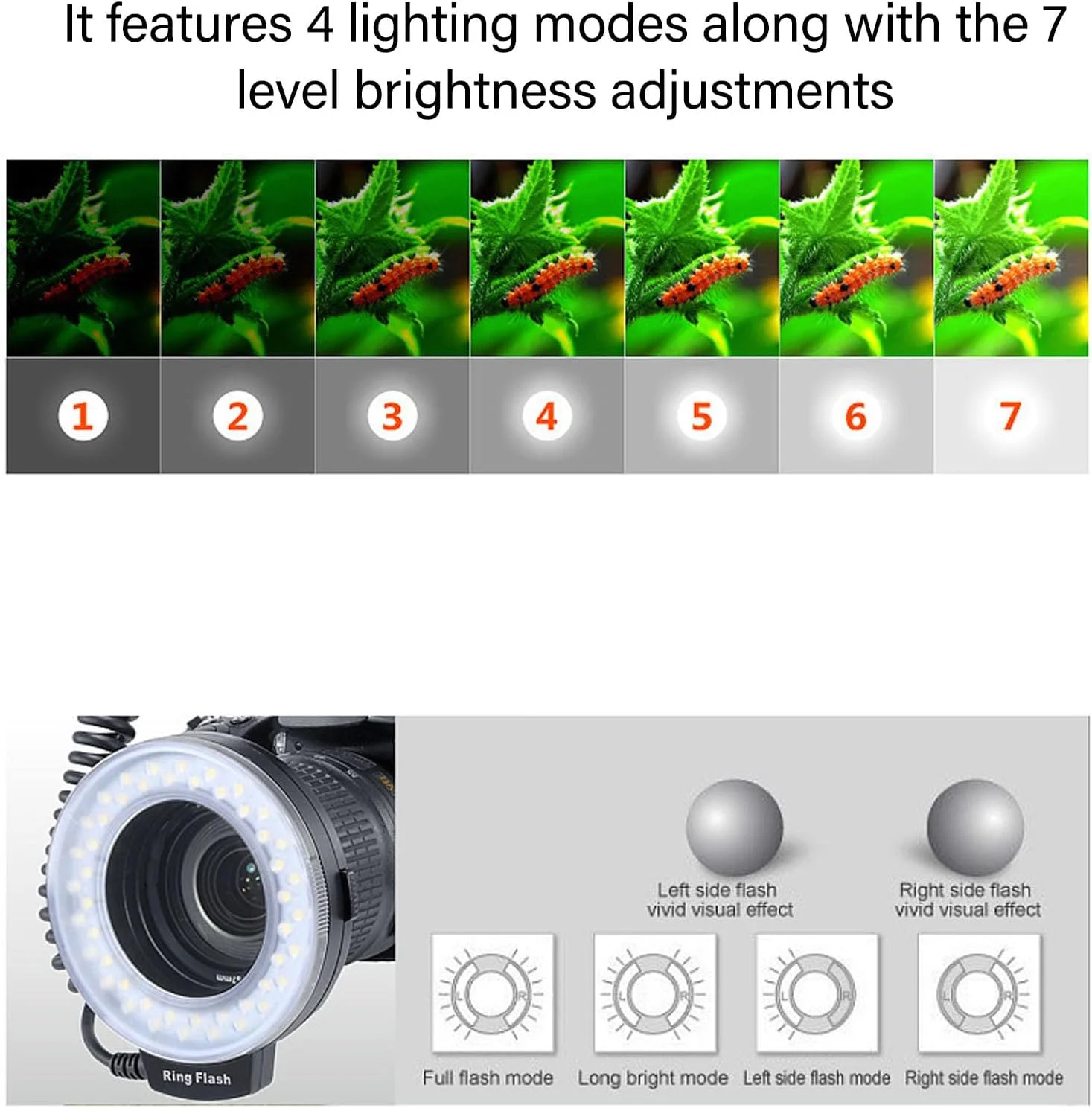 فلاش حلقه ای ماکرو برای دوربین های DSLR، چراغ فلاش LED با صفحه نمایش LCD، حلقه های آداپتور و پخش کننده های فلاش، فلاش حلقه ای ماکرو LED اسپیدلایت فلاش حلقه ای ماکرو برای دوربین های DSLR، چراغ فلاش LED با صفحه نمایش LCD، حلقه های آداپتور و پخش کننده های فلاش، فلاش حلقه ای ماکرو LED اسپیدلایت