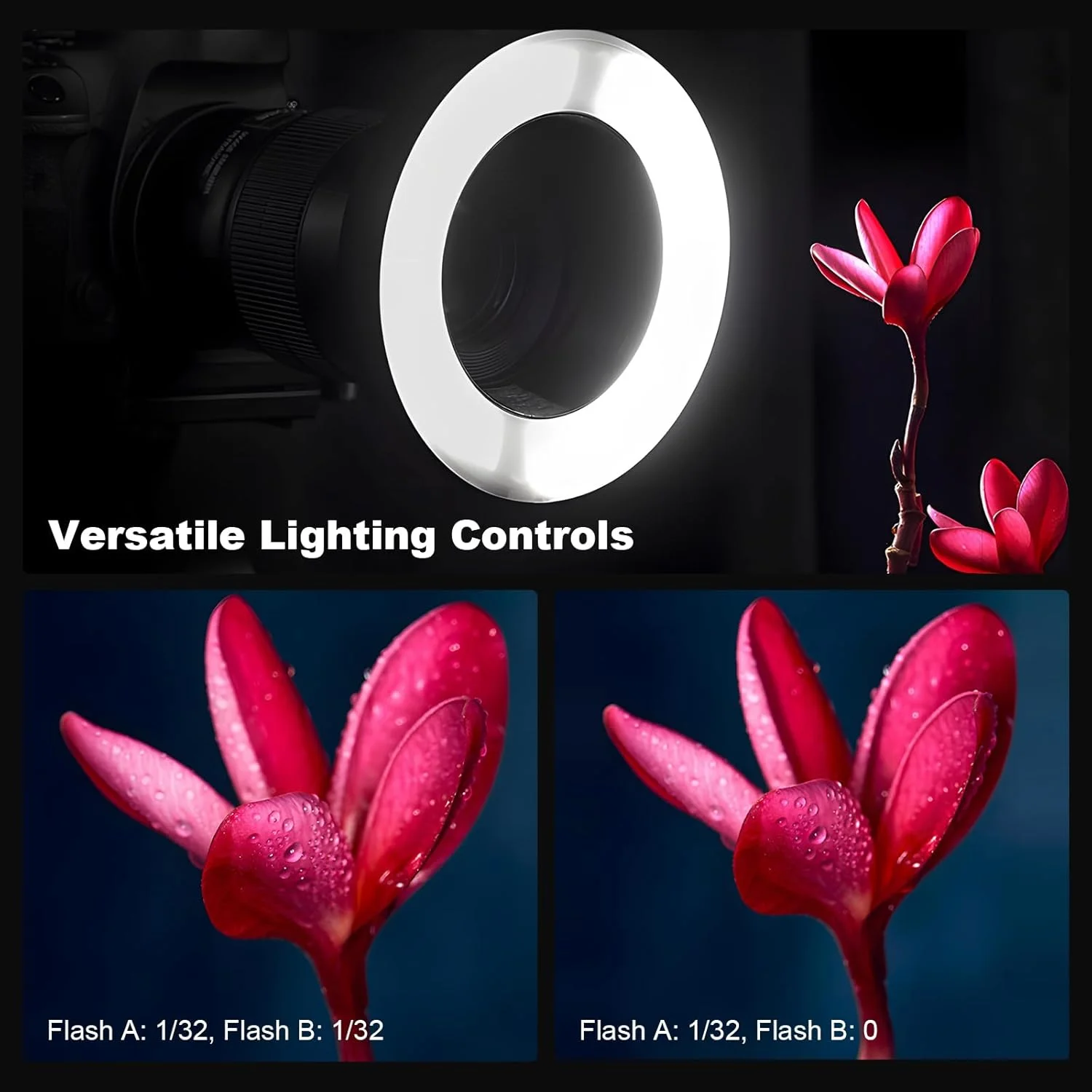 فلاش حلقوی ماکرو گودکس MF-R76N TTL برای نیکون TTL/M حالت 5900K 76Ws کنترل بیسیم 2.4G 550 فلاش با قدرت کامل زمان بازیافت 0.1-1 ثانیه لولههای فلاش دوتایی با صفحه LCD برای عکاسی از حشرات، گیاهان، جواهرات فلاش حلقوی ماکرو گودکس MF-R76N TTL برای نیکون TTL/M حالت 5900K 76Ws کنترل بیسیم 2.4G 550 فلاش با قدرت کامل زمان بازیافت 0.1-1 ثانیه لولههای فلاش دوتایی با صفحه LCD برای عکاسی از حشرات، گیاهان، جواهرات