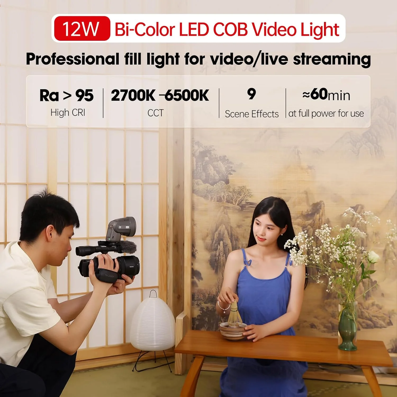 فلاش و چراغ ویدئویی LED دو در یک JINBEI، باتری قابل شارژ 2000mAh، فلاش سر گرد GN28، پشتیبانی از HSS/TTL، چراغ مدلینگ 3 واتی، دمای رنگ دوگانه 2700K~6500K، CRI >95