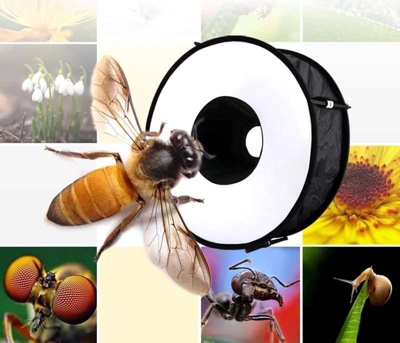 AECAM - سافت باکس رینگی تاشو و جهانی فلاش ماکرو، دیفیوزر سافت باکس گرد برای کانن، نیکون، سونی، پنتاکس، یانگنو + کیف حمل AECAM - سافت باکس رینگی تاشو و جهانی فلاش ماکرو، دیفیوزر سافت باکس گرد برای کانن، نیکون، سونی، پنتاکس، یانگنو + کیف حمل