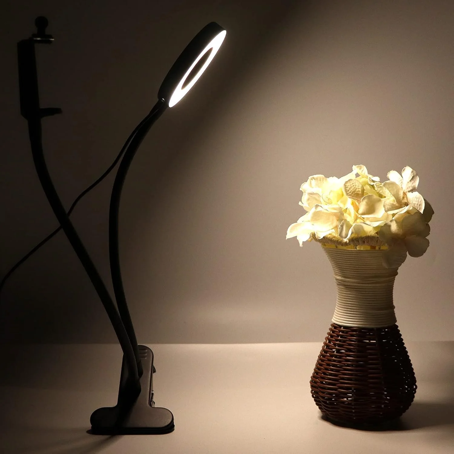 نور آرایشی، نورپردازی عکاسی حلقه ای 3.5 اینچی به همراه نگهدارنده موبایل برای گرفتن عکس و فیلم برای آرایش