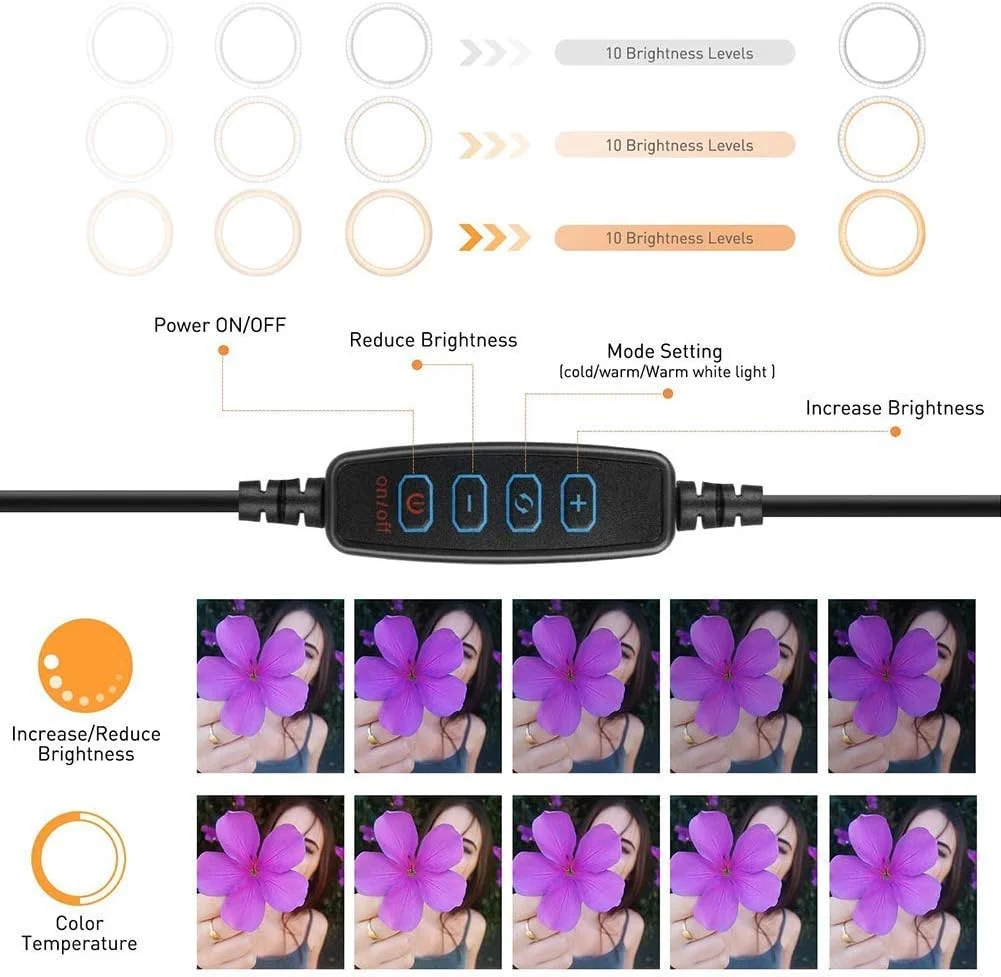حلقه نور LED، کیت نورپردازی LED عکس و فیلم سه پایه حلقه نور LED 10 اینچی، 10 رنگ قابل تنظیم، پایه نور، 10 سطح روشنایی حلقه نور LED، کیت نورپردازی LED عکس و فیلم سه پایه حلقه نور LED 10 اینچی، 10 رنگ قابل تنظیم، پایه نور، 10 سطح روشنایی