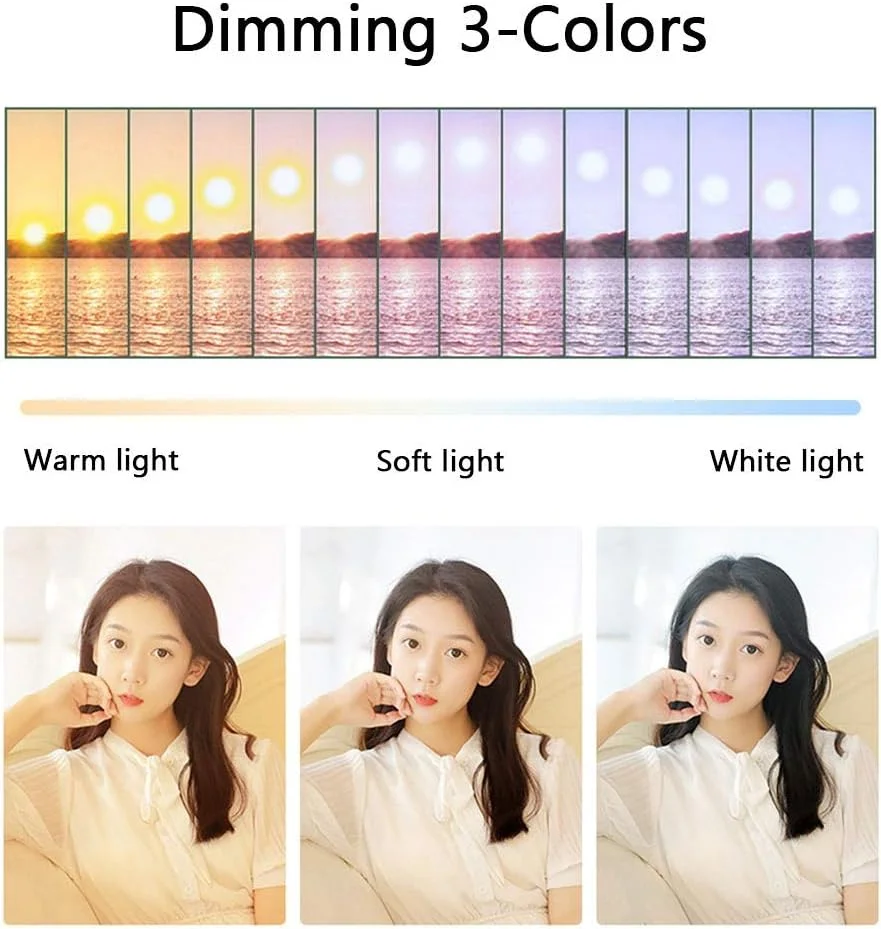 حلقه نور سلفی LED با پایه سه پایه، حلقه نور 10 اینچی با قابلیت تنظیم نور، پایه تلسکوپی تلفن هوشمند برای پخش زنده و ویدیوهای یوتیوب (رنگ: ارتفاع 170 سانتی متر، اندازه: نوع A)