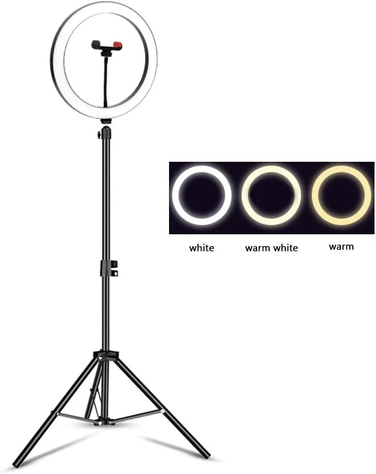 نور حلقه ای 12.9 اینچی سلفی با پایه سه پایه، 3 حالت رنگی و 10 روشنایی، نگهدارنده تلفن برای پخش زنده و فیلم یوتیوب، عکاسی، ولاگ (رنگ: نوع A، اندازه: 210 سانتی متر) نور حلقه ای 12.9 اینچی سلفی با پایه سه پایه، 3 حالت رنگی و 10 روشنایی، نگهدارنده تلفن برای پخش زنده و فیلم یوتیوب، عکاسی، ولاگ (رنگ: نوع A، اندازه: 210 سانتی متر)