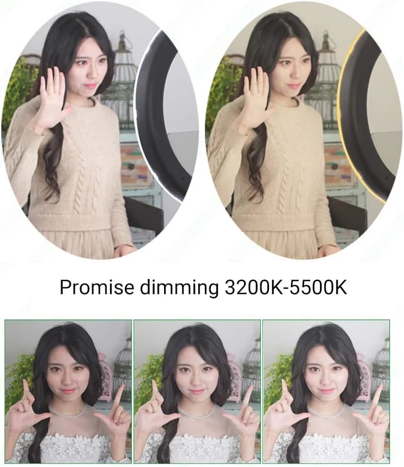 کیت نور حلقه ای 18 اینچی SHYYL با پایه نور، گیرنده بلوتوث، نگهدارنده تلفن هوشمند، آداپتور کفشک گرم برای ویدیوهای یوتیوب، سلفی، آرایش، پخش زنده، ولاگ