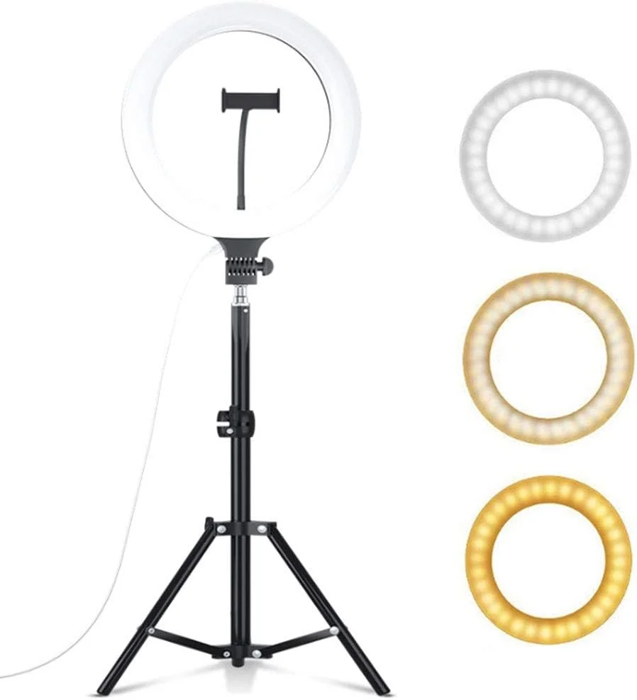 نور حلقه ای 10 اینچی LED برای عکاسی زنده، فلاش موبایل دوربین، نور ویدیویی قابل تنظیم با سه پایه (رنگ: مشکی، اندازه: پایه زمینی)