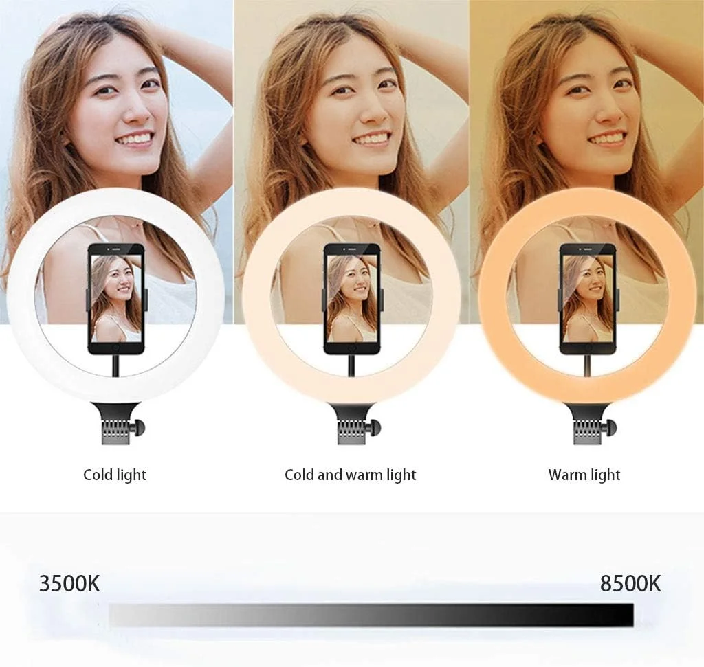 نور حلقه ای 10 اینچی LED برای عکاسی زنده، فلاش موبایل دوربین، نور ویدیویی قابل تنظیم با سه پایه (رنگ: مشکی، اندازه: پایه زمینی)