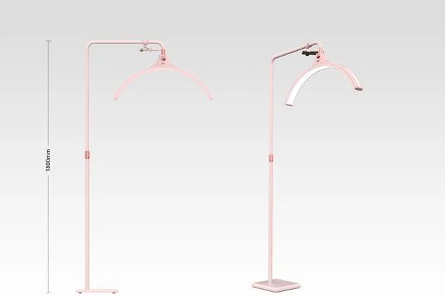 AECAM - چراغ ال ای دی 60 وات نیم حلقه ای دو رنگ برای زیبایی، مناسب برای اکستنشن مژه، آرایش ابرو، چراغ حلقه ای U شکل (صورتی AU) AECAM - چراغ ال ای دی 60 وات نیم حلقه ای دو رنگ برای زیبایی، مناسب برای اکستنشن مژه، آرایش ابرو، چراغ حلقه ای U شکل (صورتی AU)