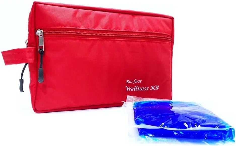 کیف خنک نگهدارنده انسولین به همراه ژل، سایز: (19 X 26 X 6) سانتی متر