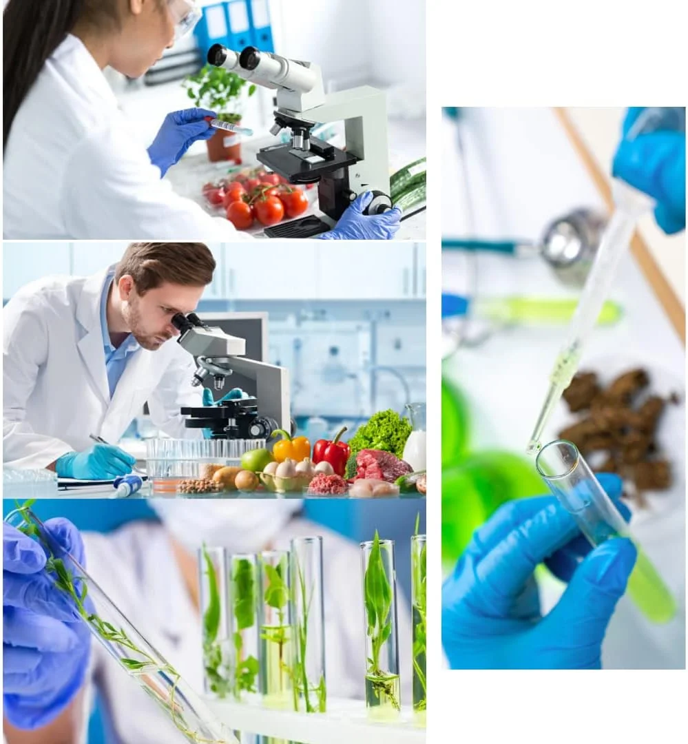 ۱۰۰ عدد لوله پلاستیکی ۱ میلی لیتر/سی سی 27G (0.4 x 12.7 میلی متر) ابزار اندازه گیری چند منظوره بسته بندی شده جداگانه (27G 1/2") ۱۰۰ عدد لوله پلاستیکی ۱ میلی لیتر/سی سی 27G (0.4 x 12.7 میلی متر) ابزار اندازه گیری چند منظوره بسته بندی شده جداگانه (27G 1/2")