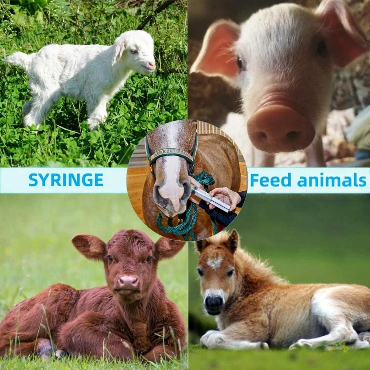 سرنگ EGEN - بسته بندی جداگانه با درپوش، دارای اندازه گیری، برای آزمایشگاه های علمی، اندازه گیری مایعات، تغذیه حیوانات خانگی، اپلیکاتور روغن یا چسب (بسته 30 عددی 1 میلی لیتری) سرنگ EGEN - بسته بندی جداگانه با درپوش، دارای اندازه گیری، برای آزمایشگاه های علمی، اندازه گیری مایعات، تغذیه حیوانات خانگی، اپلیکاتور روغن یا چسب (بسته 30 عددی 1 میلی لیتری)