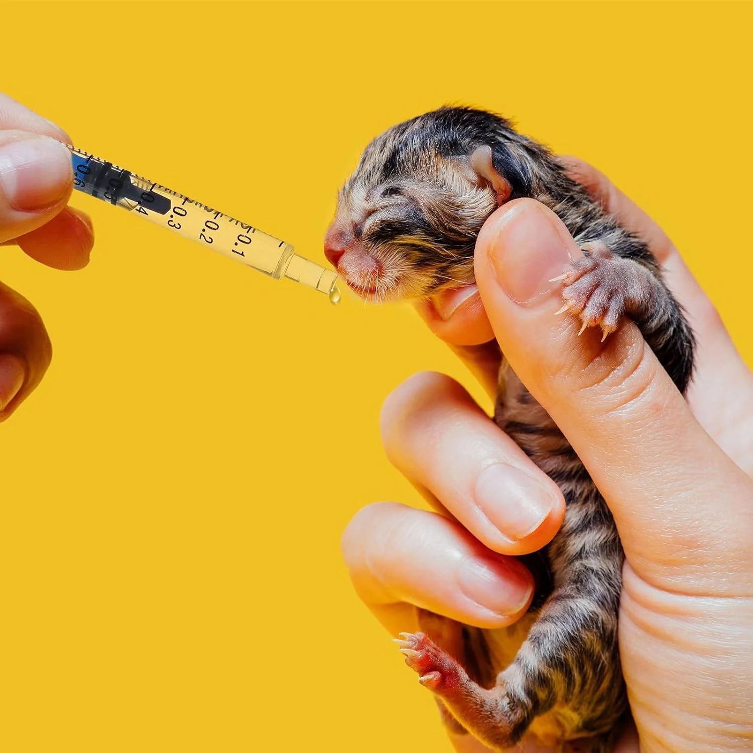 مجموعه ۱۲ عددی سرنگ FUIN با لوله، سرنگ تغذیه حیوانات خانگی، سرنگ مایع پلاستیکی، بدون سوزن برای ژله، هالووین، روز شکرگزاری، کریسمس، مهمانی های فارغ التحصیلی، پرستاران، ۱ میلی لیتر