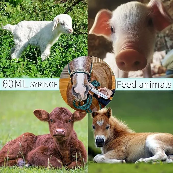 مجموعه 5 عددی سرنگ 60 میلی لیتری HIQUAY، ابزار اندازه گیری مایعات پلاستیکی با درپوش، ظرفیت بزرگ، بدون نشتی، برای اندازه گیری مایعات، تغذیه حیوانات خانگی، روغن یا چسب مجموعه 5 عددی سرنگ 60 میلی لیتری HIQUAY، ابزار اندازه گیری مایعات پلاستیکی با درپوش، ظرفیت بزرگ، بدون نشتی، برای اندازه گیری مایعات، تغذیه حیوانات خانگی، روغن یا چسب