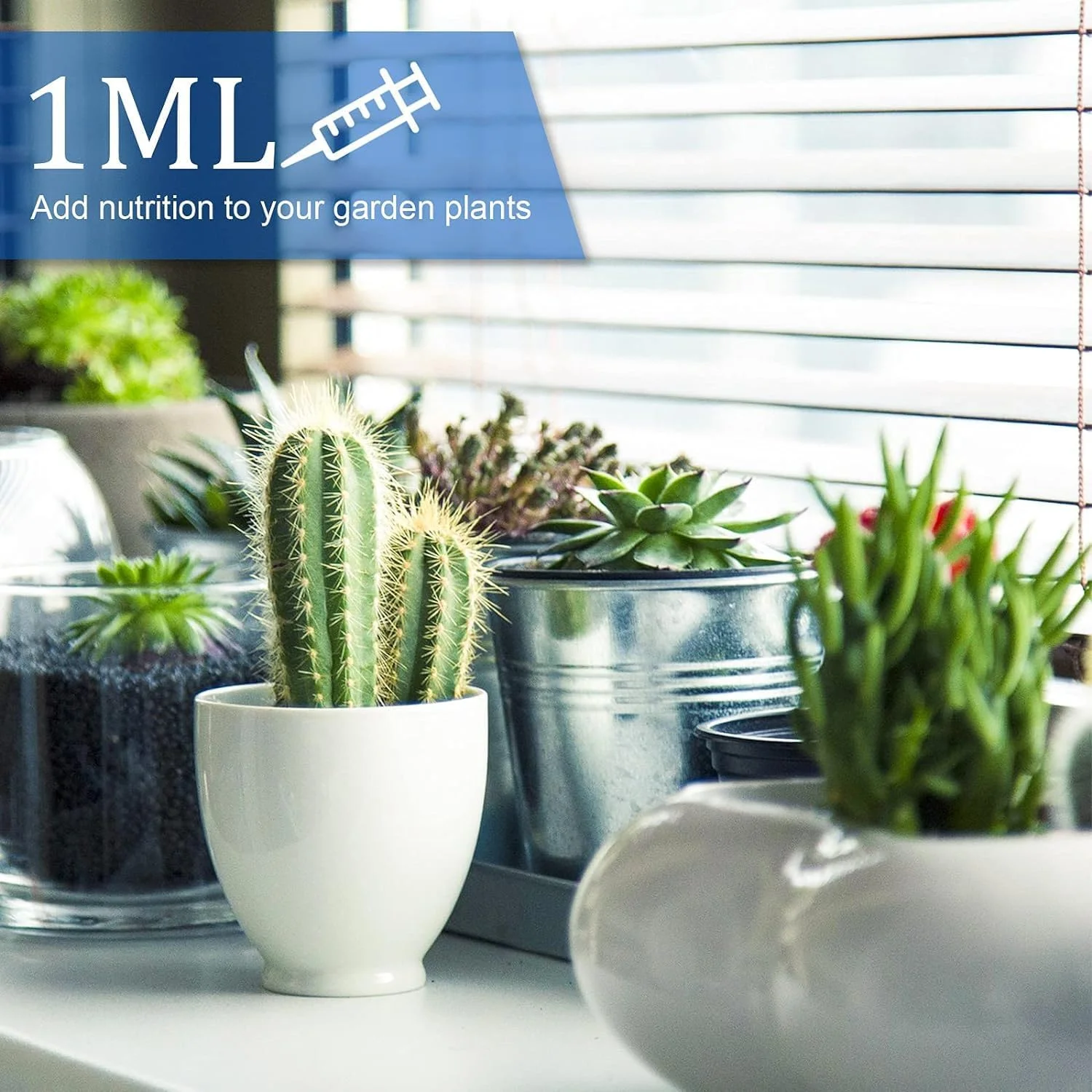 سرنگ های اندازه گیری لوله ای، سرنگ تغذیه حیوانات خانگی، سرنگ های مایع پلاستیکی، بدون سوزن برای ژله، هالووین، روز شکرگزاری، کریسمس، مهمانی های مجردی، پرستاران، جشن فارغ التحصیلی، 1 میلی لیتر، 12 عدد