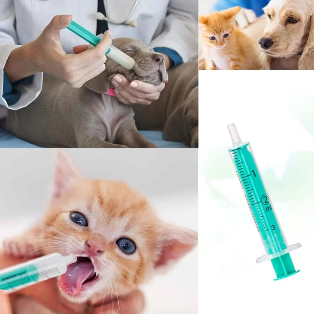 ۱۰ عدد سرنگ ۲ میلی لیتری و ۱۰ عدد کانولا. مجموعه سرنگ با سوزن صاف، در اندازه های مختلف: ۱ میلی لیتر، ۲ میلی لیتر، ۵ میلی لیتر، ۱۰ میلی لیتر، ۲۰ میلی لیتر برای سرگرمی و کارهای دستی، بسته بندی استریل تکی ۱۰ عدد سرنگ ۲ میلی لیتری و ۱۰ عدد کانولا. مجموعه سرنگ با سوزن صاف، در اندازه های مختلف: ۱ میلی لیتر، ۲ میلی لیتر، ۵ میلی لیتر، ۱۰ میلی لیتر، ۲۰ میلی لیتر برای سرگرمی و کارهای دستی، بسته بندی استریل تکی