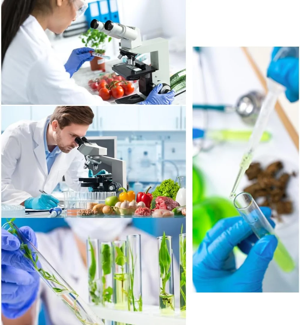 بسته 10 عددی لوله پلاستیکی 0.3 میلی لیتر/سی سی 31G 5/16 اینچ (8 میلی متر)، لوازم جانبی آزمایشگاهی، ابزار اندازه گیری چند منظوره، بسته بندی جداگانه (0.3ml/cc 31G 5/16") بسته 10 عددی لوله پلاستیکی 0.3 میلی لیتر/سی سی 31G 5/16 اینچ (8 میلی متر)، لوازم جانبی آزمایشگاهی، ابزار اندازه گیری چند منظوره، بسته بندی جداگانه (0.3ml/cc 31G 5/16")