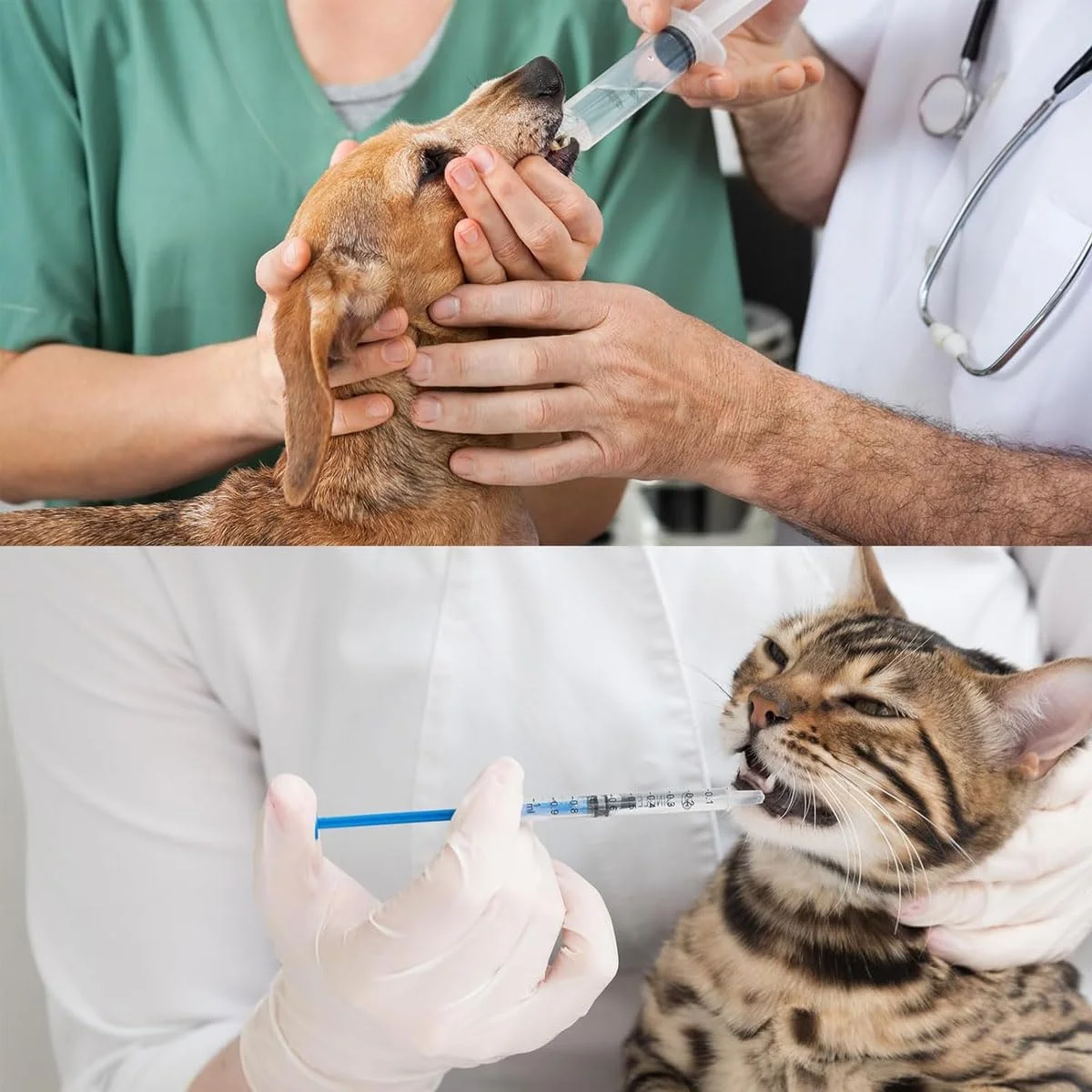 سرنگ پلاستیکی ۳ میلی‌لیتری بسته‌بندی جداگانه با درپوش، مناسب برای آزمایشگاه‌های علمی، اندازه‌گیری مایعات، تغذیه حیوانات خانگی، استفاده از روغن یا چسب (بسته ۲۰ عددی)