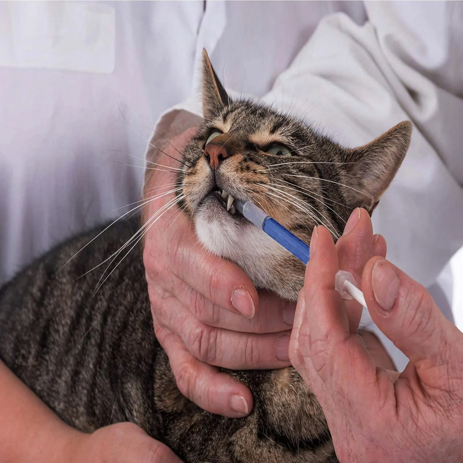 وانبائو آبی 100 عددی سرنگ پیپت 1 میلی لیتری با نوک لغزنده لوئر بدون سوزن برای خوراندن به حیوانات خانگی، پر کردن مجدد، استفاده از روغن یا چسب، اندازه گیری یا انتقال مقدار کمی مایعات، بدون درپوش