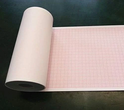 رول کاغذ حرارتی نوار قلب DeHMY BPL 6208، 80x20 میلی متر (بسته 6 عددی)