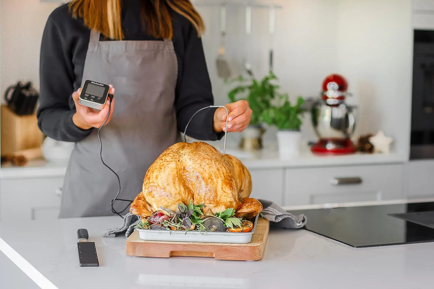 دماسنج دیجیتال گوشت و تایمر آشپزخانه کیچن اید با پروب برای استفاده در فر 250 درجه سانتیگراد / 100 دقیقه دماسنج دیجیتال گوشت و تایمر آشپزخانه کیچن اید با پروب برای استفاده در فر 250 درجه سانتیگراد / 100 دقیقه