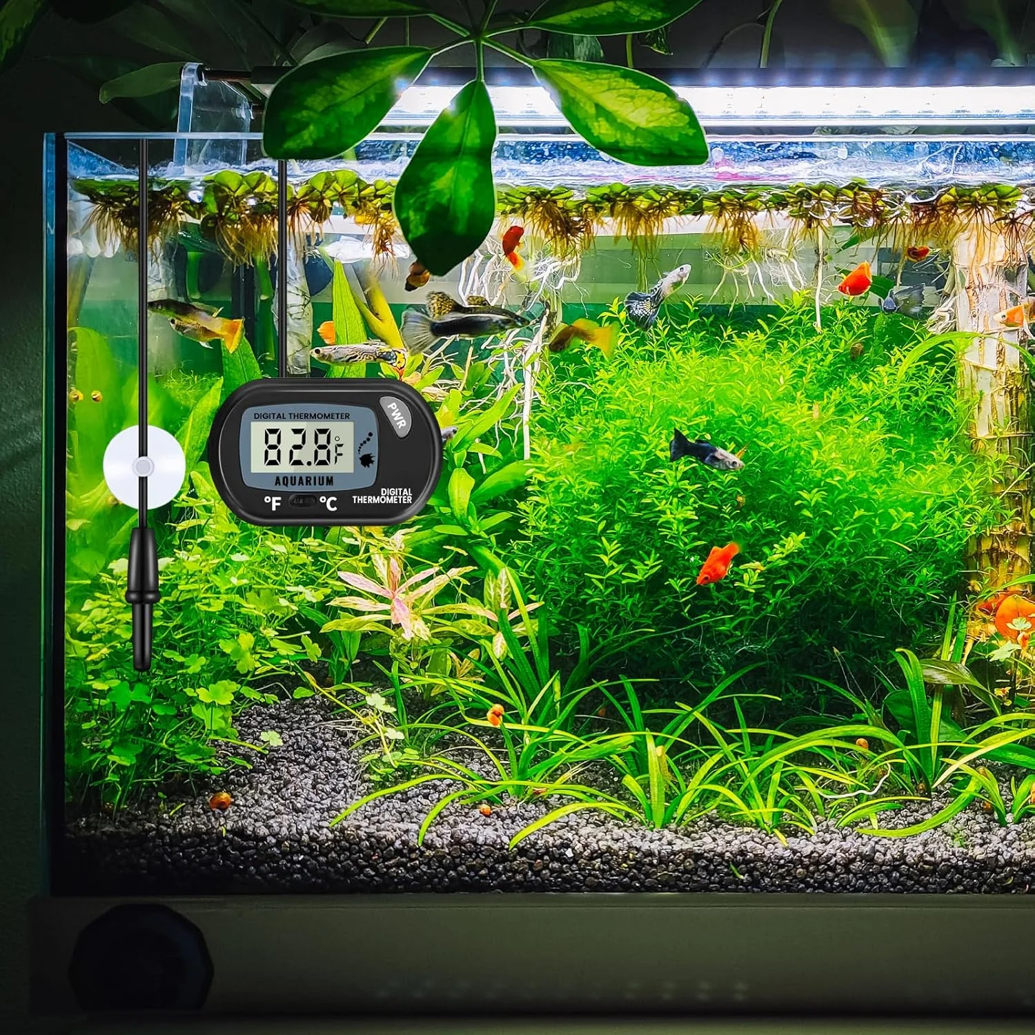 بسته 2 عددی دماسنج دیجیتال آکواریوم Bonlux، دماسنج تانک ماهی، دماسنج آب با صفحه نمایش LCD بزرگ، دماسنج برای آکواریوم آب و تراریوم بسته 2 عددی دماسنج دیجیتال آکواریوم Bonlux، دماسنج تانک ماهی، دماسنج آب با صفحه نمایش LCD بزرگ، دماسنج برای آکواریوم آب و تراریوم