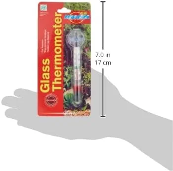 دماسنج شیشه ای