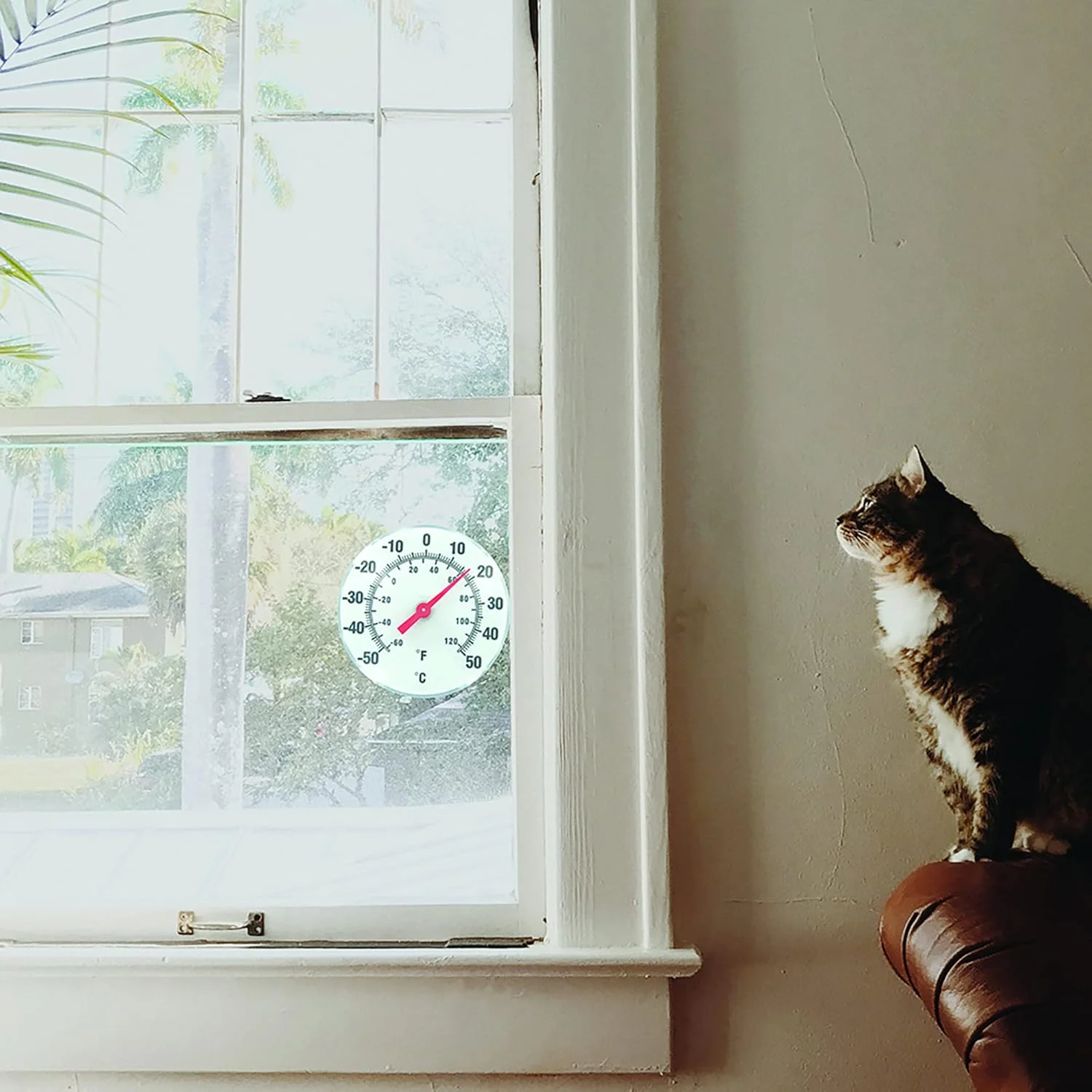 دماسنج عقربه ای BIOS، مشکی و سفید، 6 اینچ (TR612)