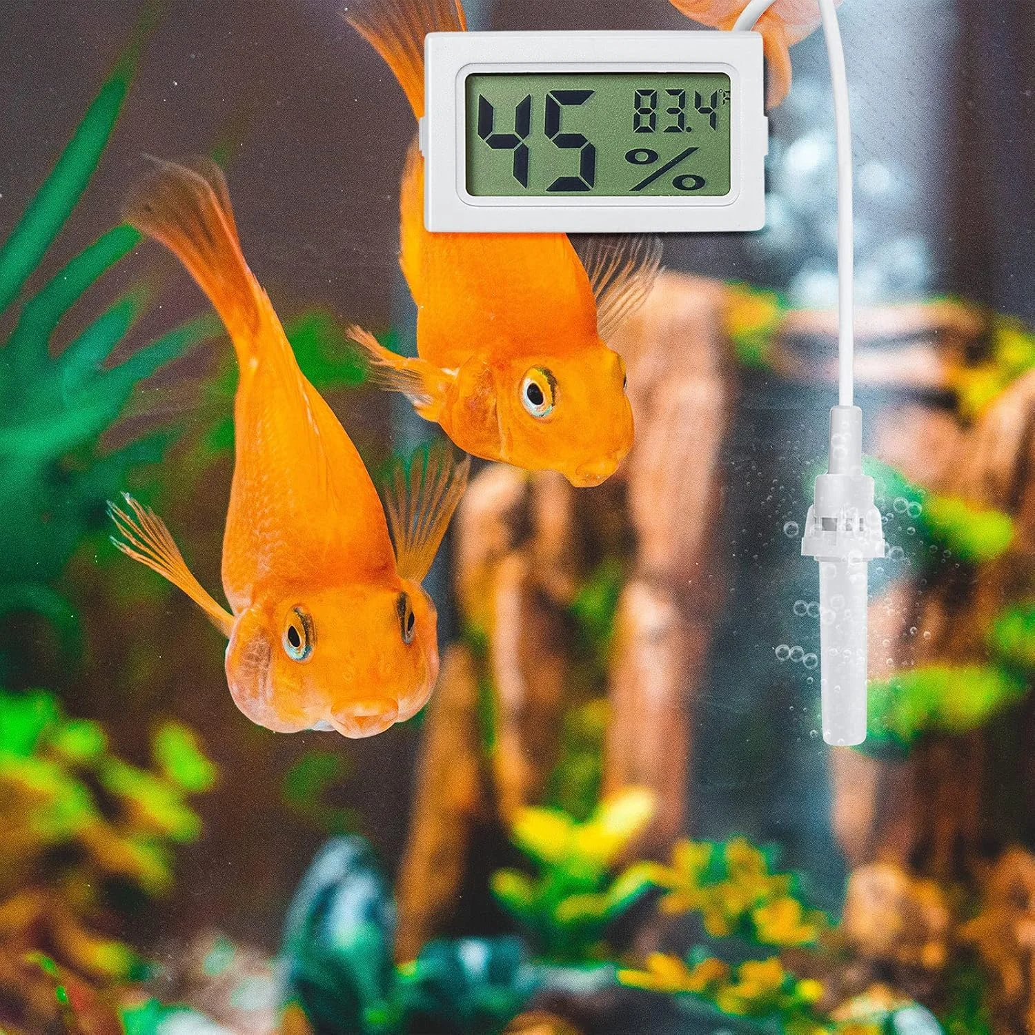 مینی دماسنج و رطوبت سنج دیجیتال با پروب، نمایشگر LCD فارنهایت، مناسب برای گلخانه، تراریوم گیاهان و غیره (سفید، 3 عدد) مینی دماسنج و رطوبت سنج دیجیتال با پروب، نمایشگر LCD فارنهایت، مناسب برای گلخانه، تراریوم گیاهان و غیره (سفید، 3 عدد)