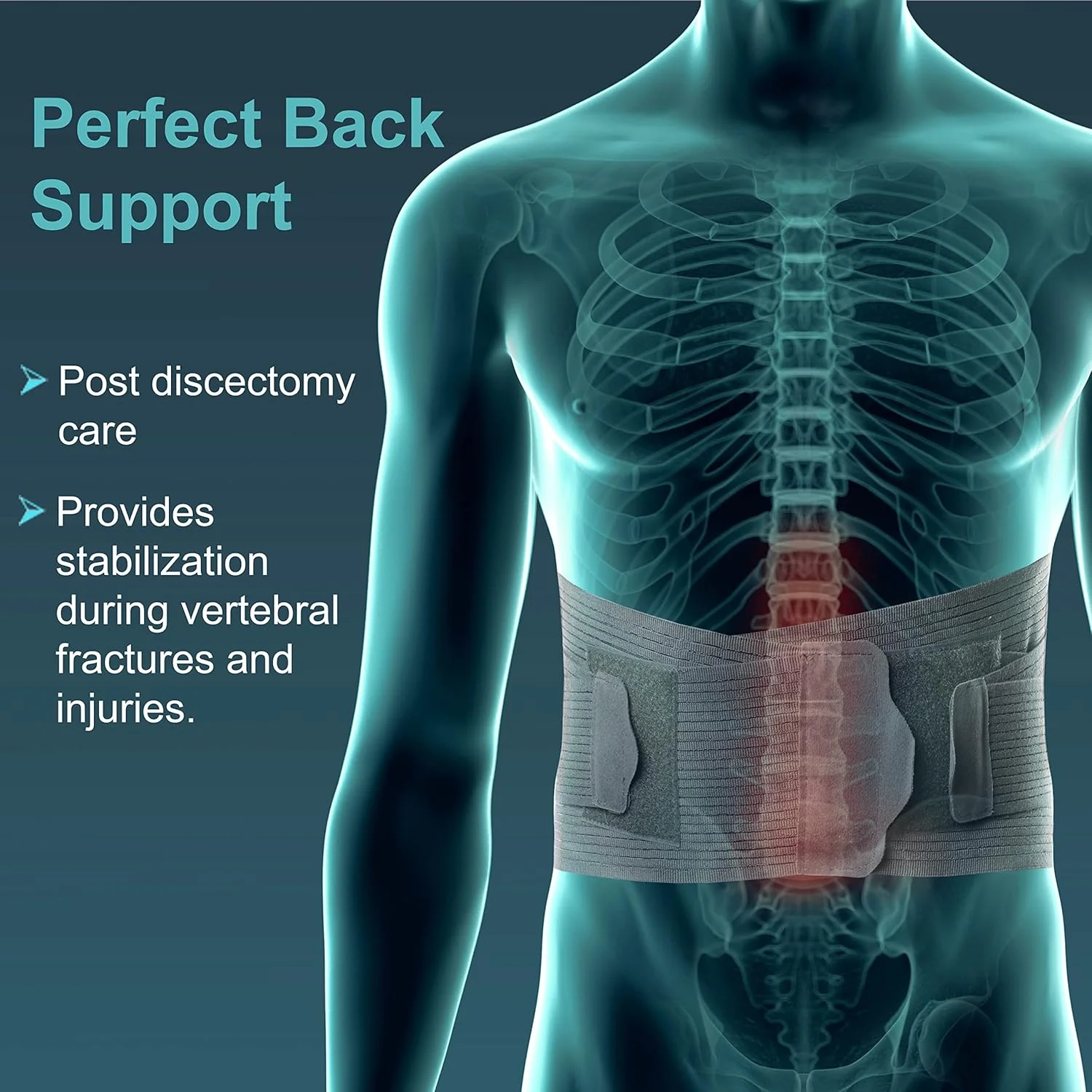 کمربند طبی کمری تایور، خاکستری، بزرگ، 1 عدد