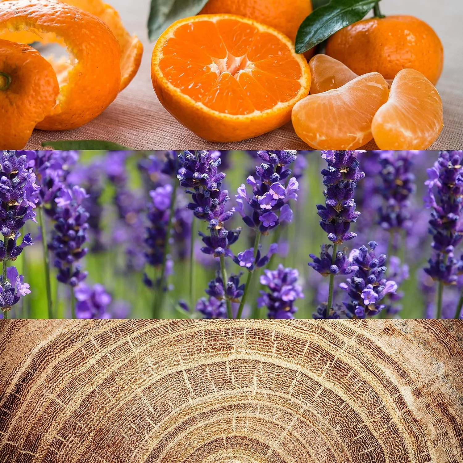 ادکلن مردانه کالوین کلین Obsession ادو تویلت 75 میلی لیتر ادکلن مردانه کالوین کلین Obsession ادو تویلت 75 میلی لیتر