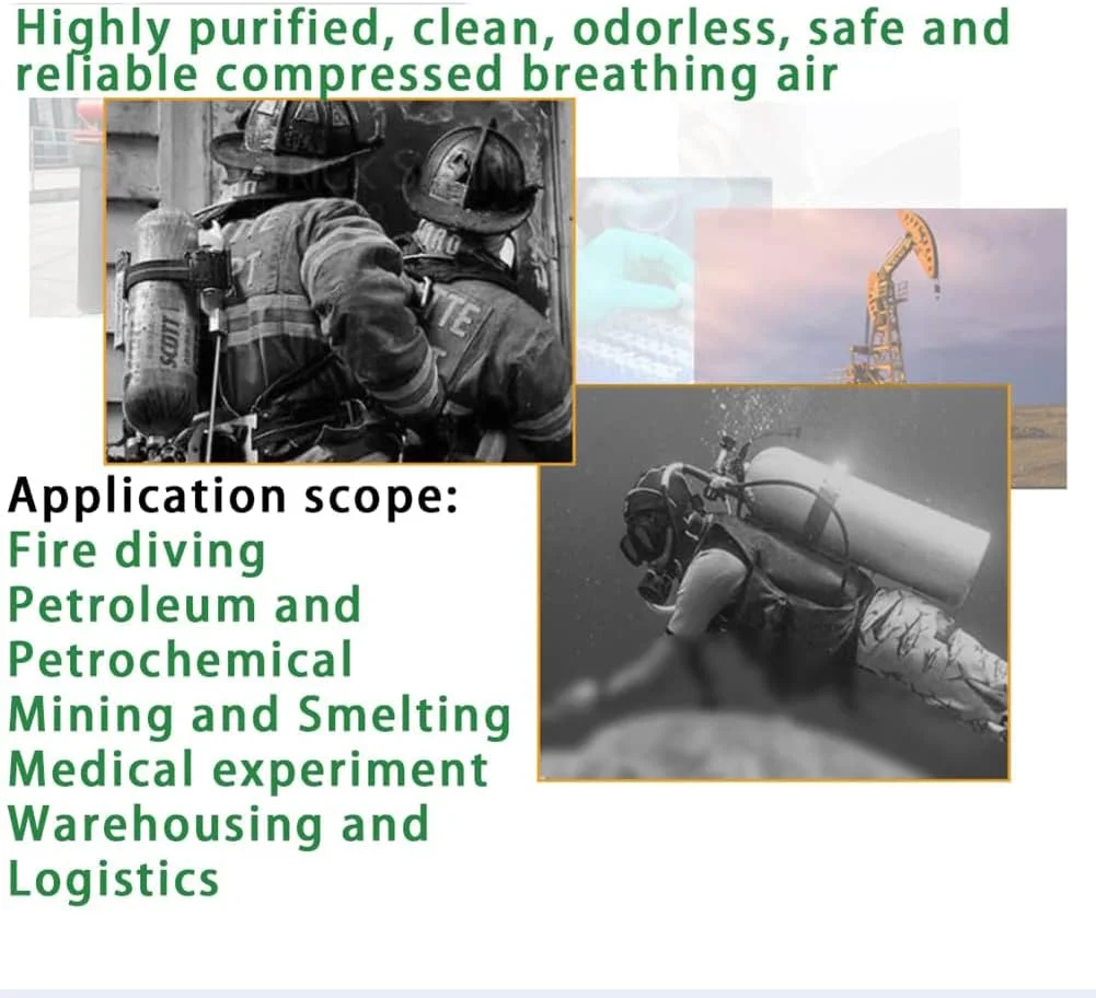 کمپرسور PCP پارفو 4500 Psi 30MPa، پمپ تفنگ بادی فشار قوی، تغذیه با برق 12 ولت DC خودرو یا 110 ولت/220 ولت AC، پمپ کمپرسور مخزن غواصی فشار قوی