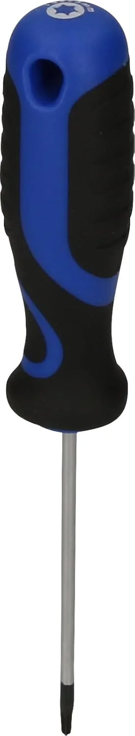 پیچ گوشتی ستاره ای BT034904 بریلیانت تولز [تولید شده توسط کی اس تولز]