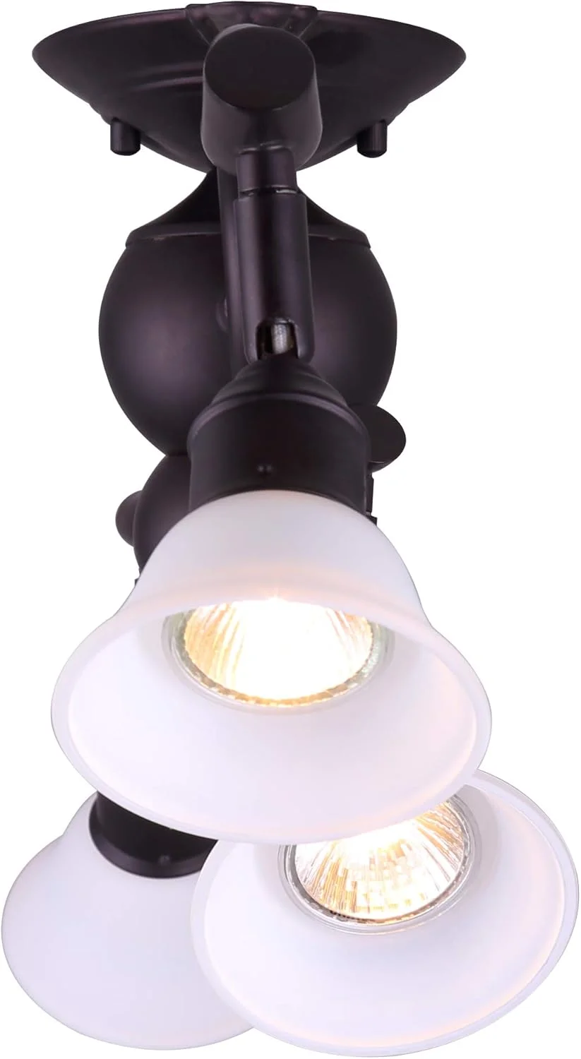 چراغ ریلی آویز 4 شاخه Canarm IT217A04ORB10 Addison با حباب های شیشه ای اوپال تخت، رنگ برنز روغنی چراغ ریلی آویز 4 شاخه Canarm IT217A04ORB10 Addison با حباب های شیشه ای اوپال تخت، رنگ برنز روغنی