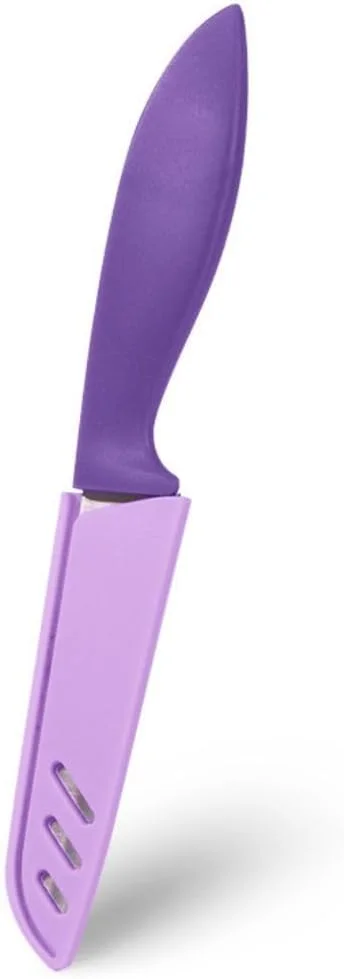 چاقوی استیل کاربردی FISSMAN با غلاف - 10 سانتی متر