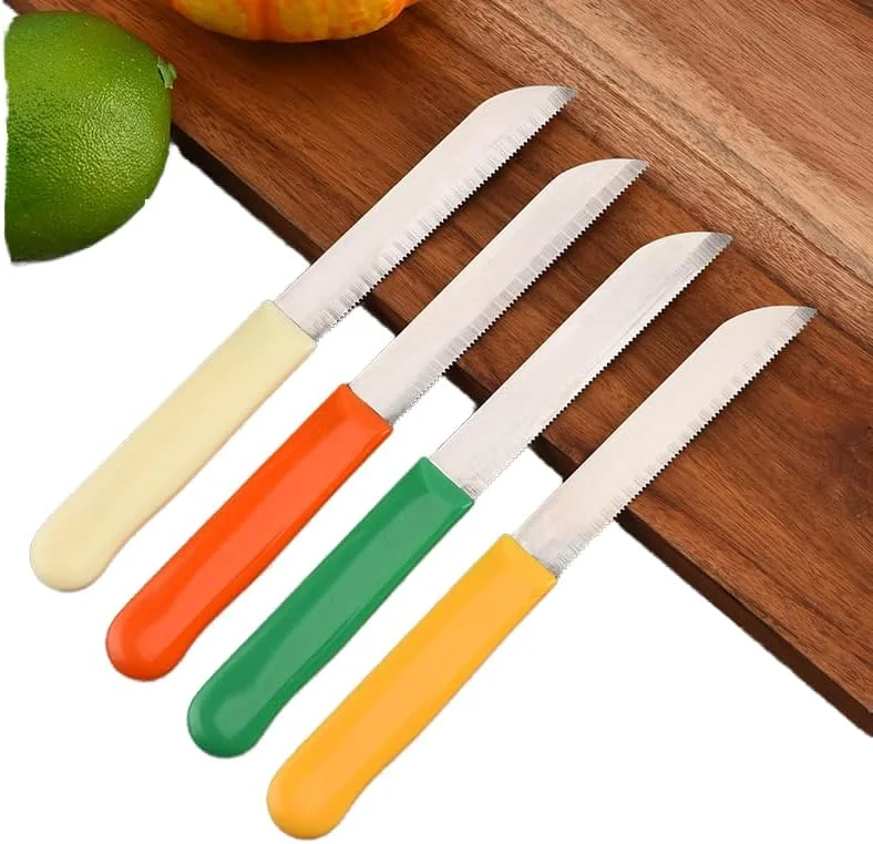 ست ۱۲ عددی چاقوی پوست‌کنی رنگارنگ – تیغه‌های استیل ضد زنگ با کیفیت عالی و دسته‌های ارگونومیک – ایده‌آل برای میوه‌ها، سبزیجات و برش دقیق – بسته‌بندی کارت بلیستر