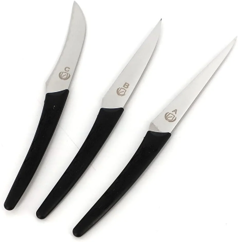 ست ۳ عددی چاقوی حکاکی میوه و سبزیجات، چاقوهای تیز برای پوست کندن با تیغه های استیل ضد زنگ، ابزار برش دقیق برای آشپزخانه، تزئین و دکوراسیون غذا