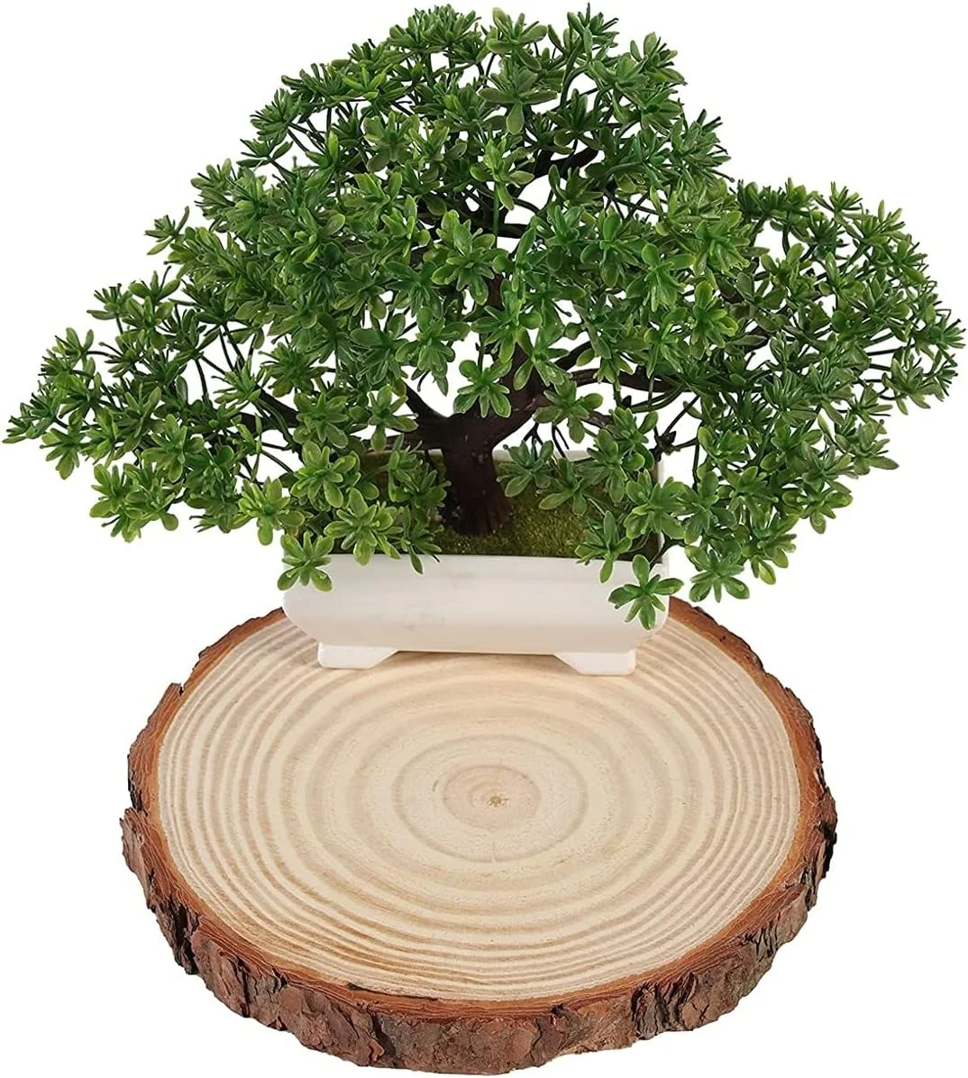 زیرلیوانی چوبی طبیعی پرداخت نشده 24 سانتی متری با پوست درخت، دیسک های کنده درختی روستیک، بسته 2 عددی (مناسب برای تزئینات عروسی، دکوراسیون روستایی، کارهای هنری، زیربشقابی، تزئین میز) فرآوری نشده