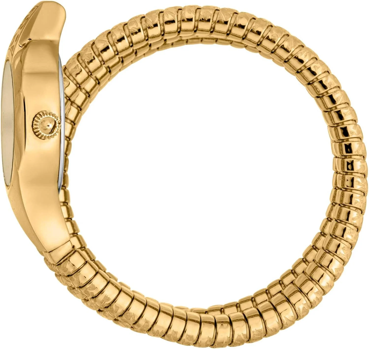 ساعت مچی زنانه جاست کاوالی مدل JC1L222M0075، سبز بطری، پر زرق و برق، سبز بطری، JC1L222M0075 ساعت مچی زنانه جاست کاوالی مدل JC1L222M0075، سبز بطری، پر زرق و برق، سبز بطری، JC1L222M0075