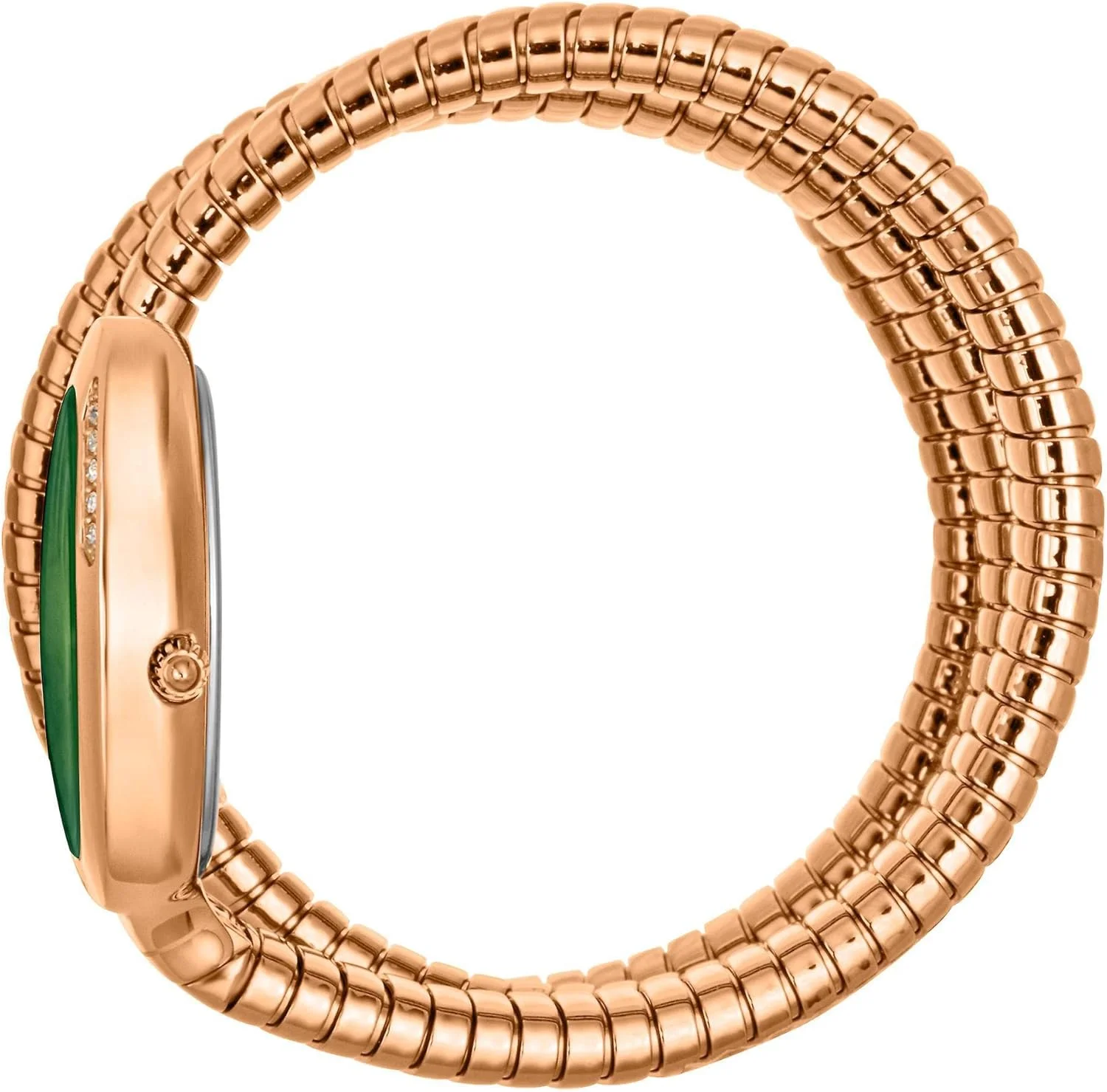 ساعت مچی زنانه جاست کاوالی مدل JC1L228M0055، سبز، موتور کوارتز ساعت مچی زنانه جاست کاوالی مدل JC1L228M0055، سبز، موتور کوارتز