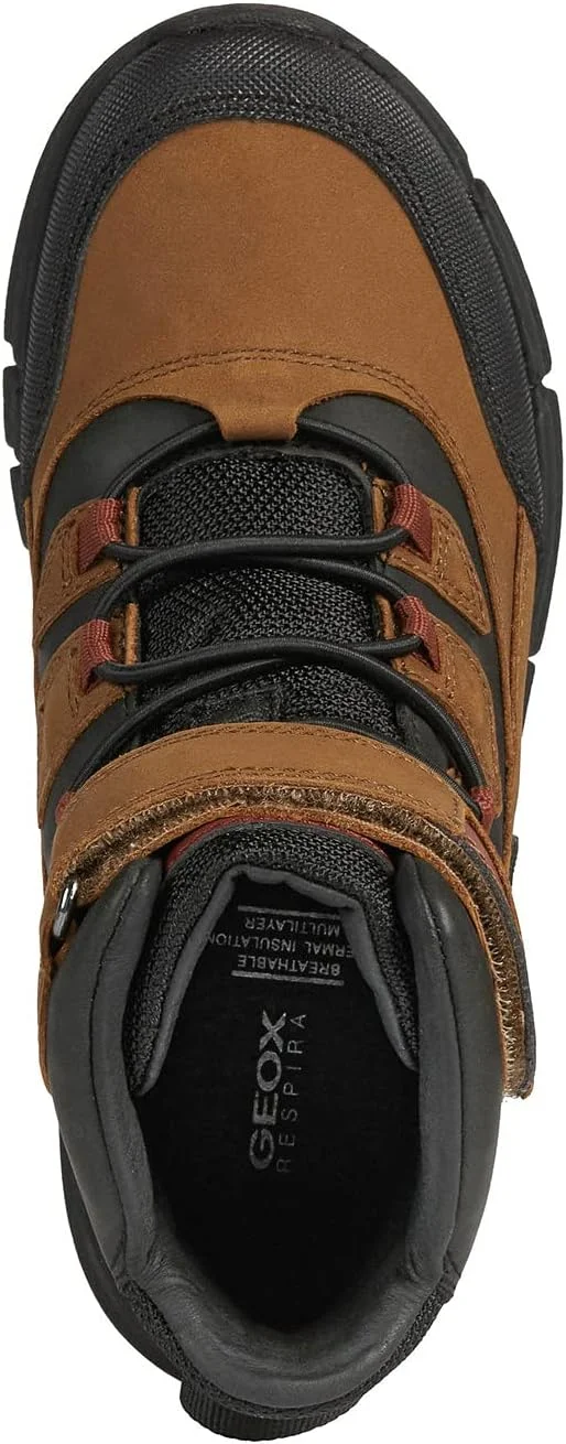 کفش جئوکـس کفش جئوکـس