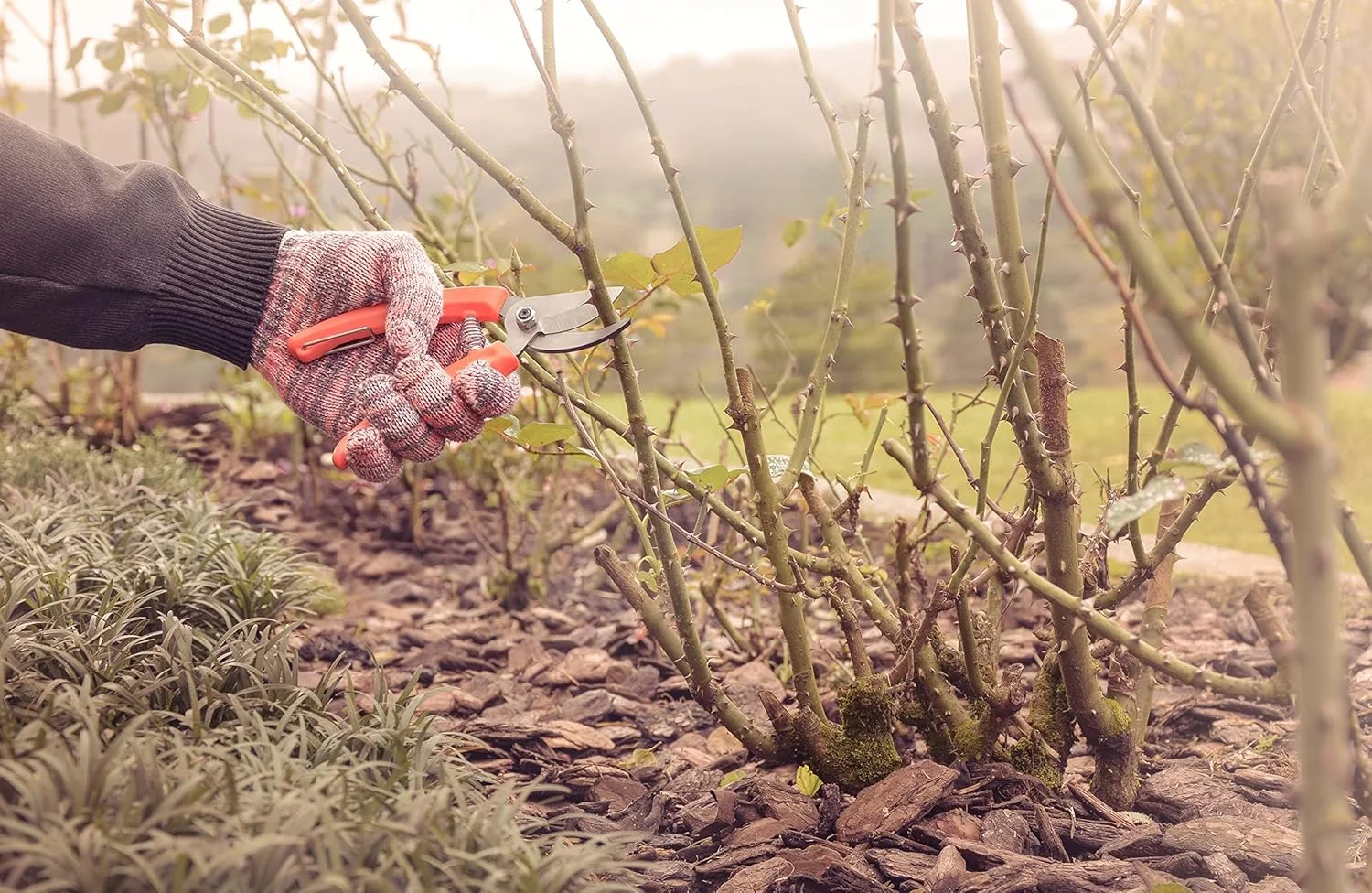 قیچی باغبانی ترامونتینا با تیغه های فلزی و دسته های پلاستیکی