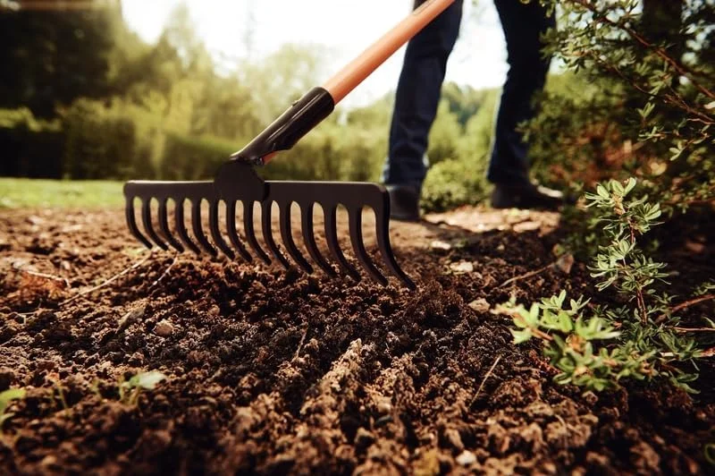 چنگک ترامونتینا