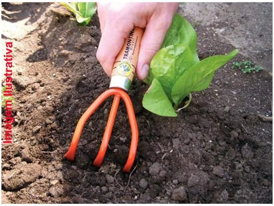 تیلر 3 دندانه ترامونتینا با دسته چوبی تیلر 3 دندانه ترامونتینا با دسته چوبی